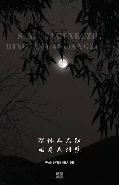 望月怀古 | 深林人不知，明月来相照