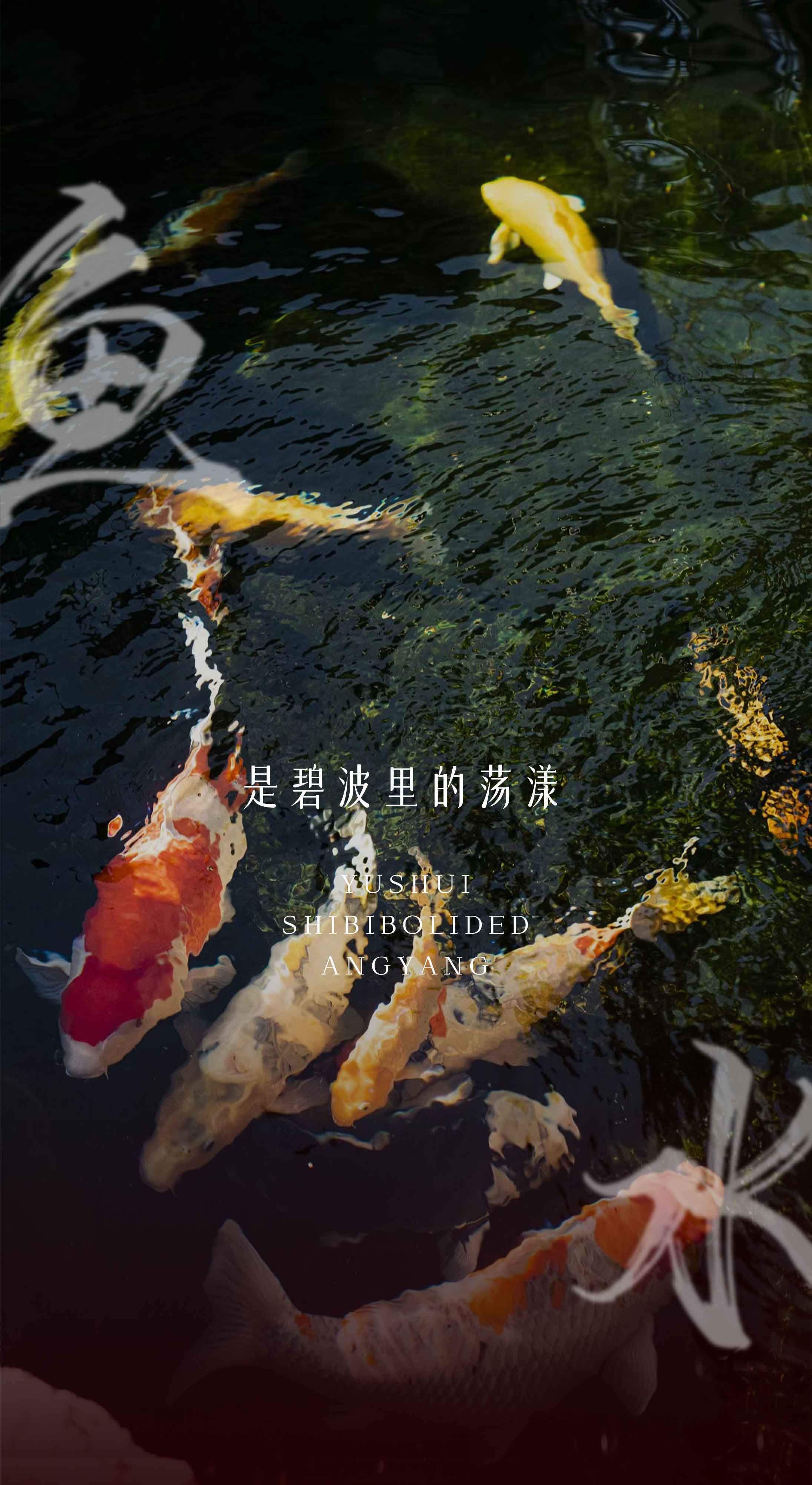 望月怀古 | 清流姿荡漾，鱼在水中央(图1)