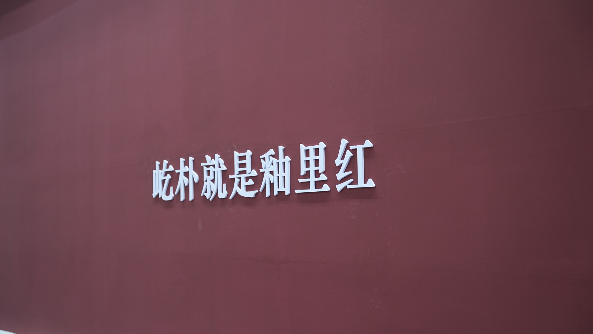 深圳茶博会次日盛况不减,屹朴堂原矿青花釉里红新品持续圈粉(图1) 深圳茶博会次日盛况不减,屹朴堂原矿青花釉里红新品持续圈粉(图1)