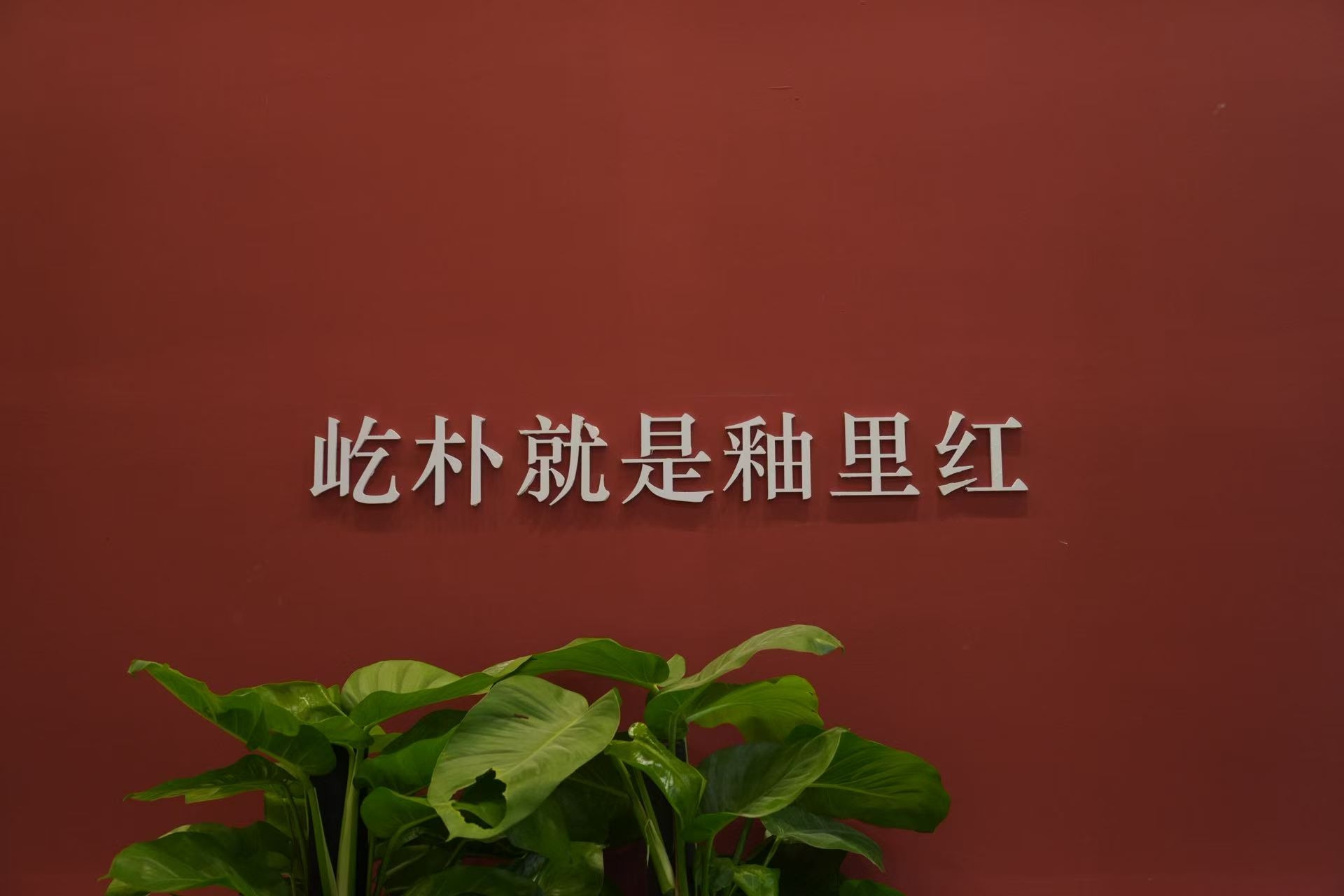 开展第三日人气依旧!屹朴堂十月原矿青花釉里红成厦门秋博会热门看点(图2) 开展第三日人气依旧!屹朴堂十月原矿青花釉里红成厦门秋博会热门看点(图2)